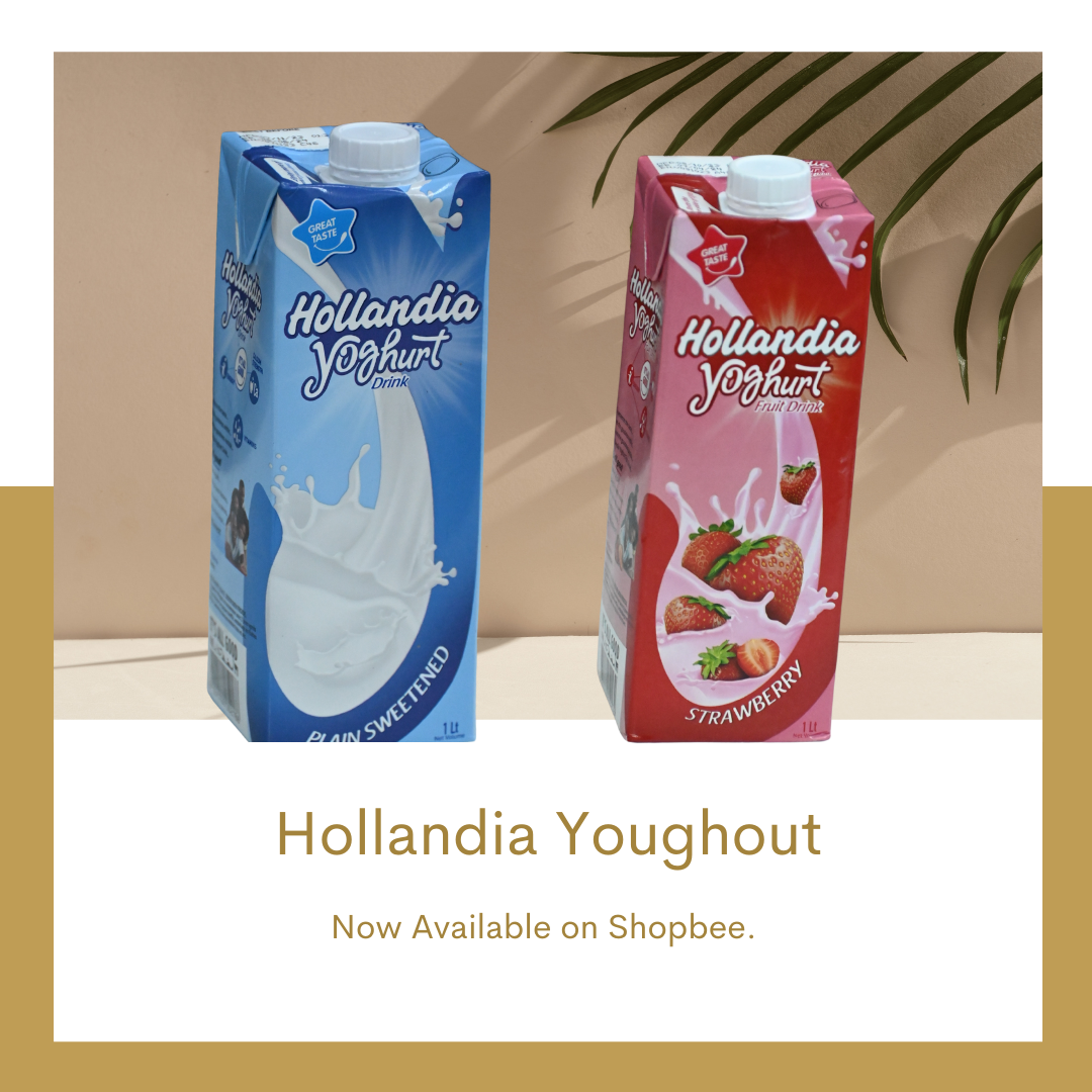 Hollandia youghout